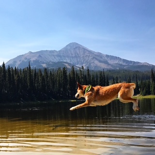 On the mountain