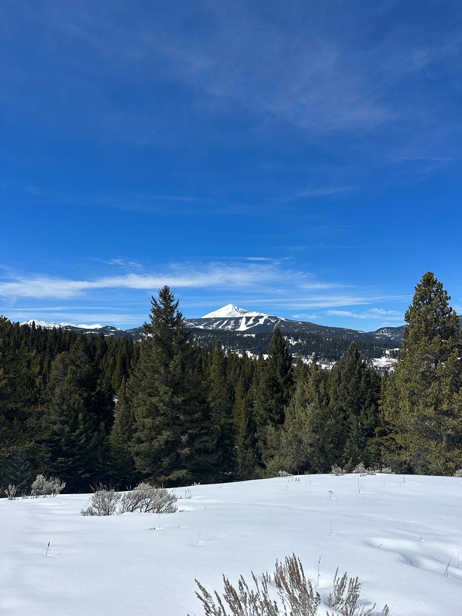 On the mountain
